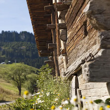 Le Roc Des Tours Appart hôtel Le Grand-Bornand